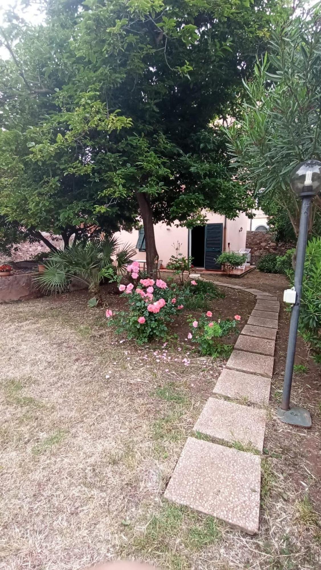 Casa Valdese Rio Marina酒店 外观 照片